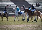 Pferd International 041
